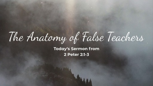 The Anatomy of False Teachers