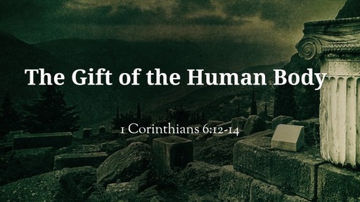 The Gift of the Human Body