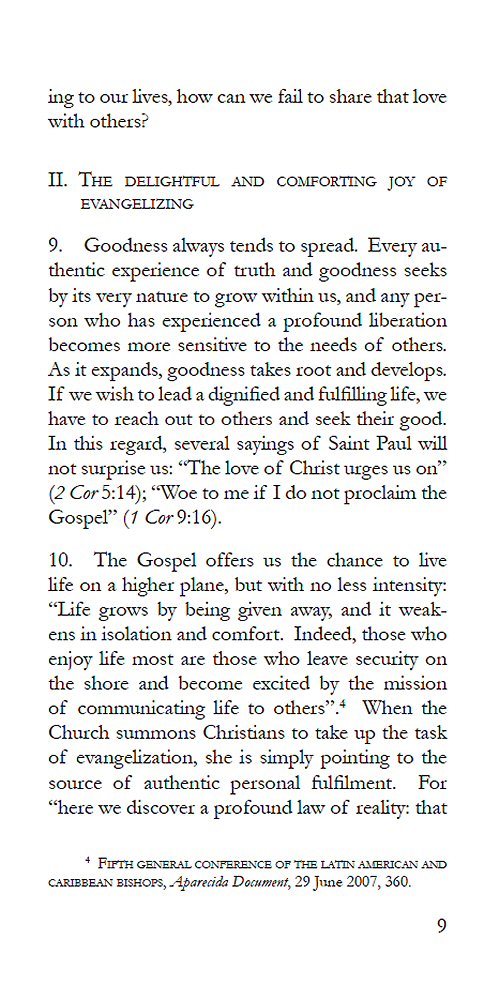 The Joy of the Gospel - Evangelii Gaudium - Pope Francis - eBook INSTA –  Christian Catholic Shop