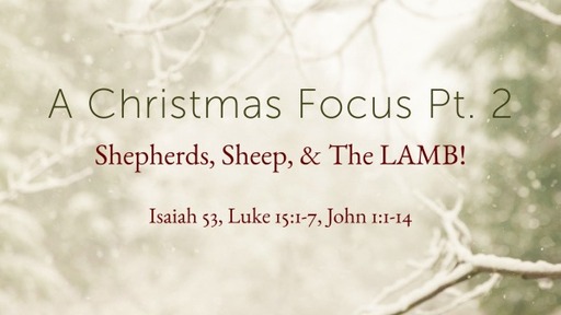 Shepherds, Sheep, & The LAMB! (2)
