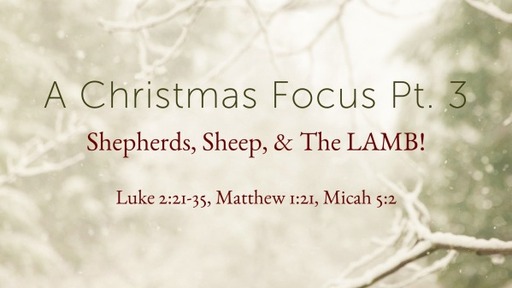 Shepherds, Sheep, & The LAMB! (3)