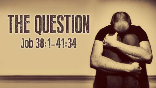 Seeing Through Suffering & Pain: The Questions