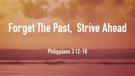 Forget The Past, Strive Ahead