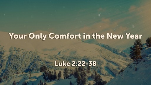 Your Only Comfort in the New Year