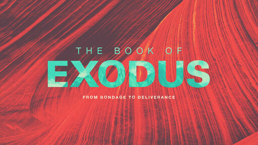 Exodus: From Bondage to Deliverance