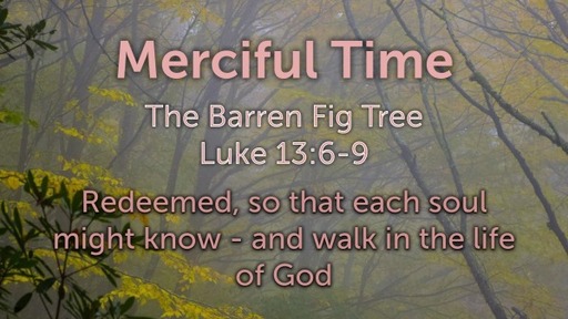 Merciful Time.  The Barren Fig Tree. Luke 13:6-9  Sunday, 15 January
