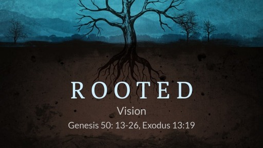 Rooted - Vision