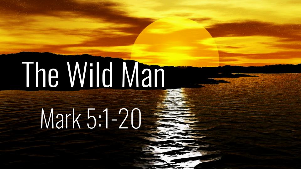 the-wild-man-logos-sermons