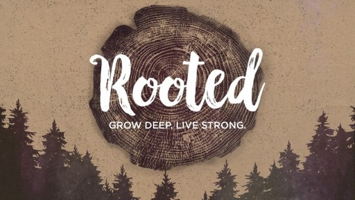 Rooted - Week 1: Plant
