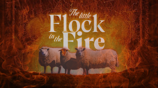 The Little Flock in the Fire (1/15/2023)