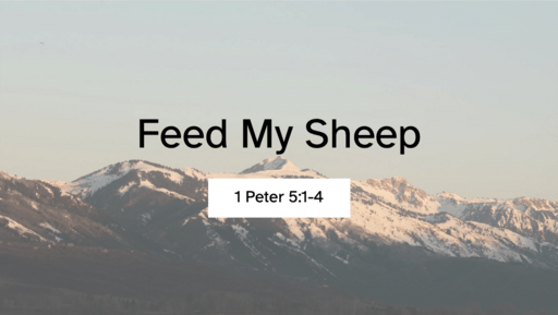 Biblical Eldership: Feed My Sheep