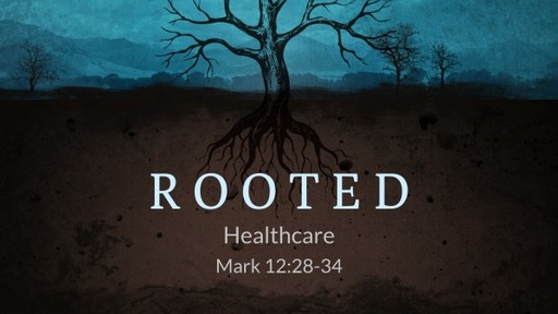 Rooted - Healthcare