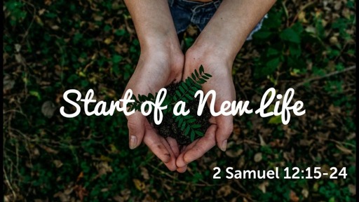 2 Samuel 12:15-24
