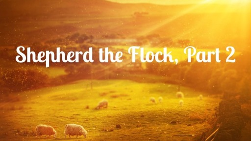 Shepherd the Flock, Part 2