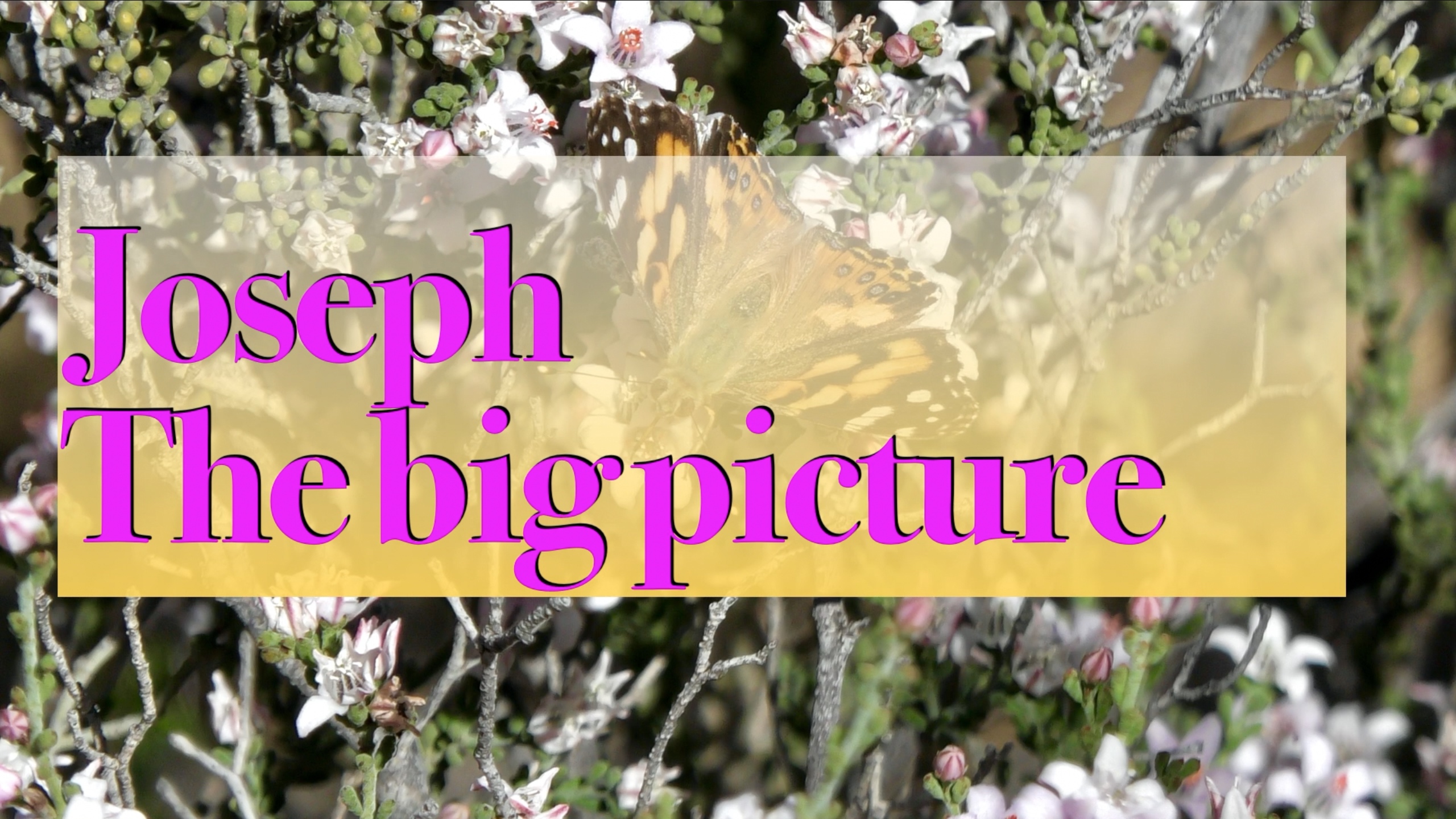 Joseph The Big Picture Logos Sermons