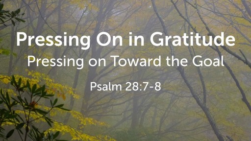 Pressing On in Gratitude