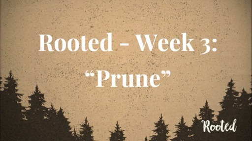 Rooted - Week 3: Prune