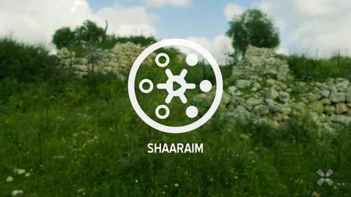 Shaaraim