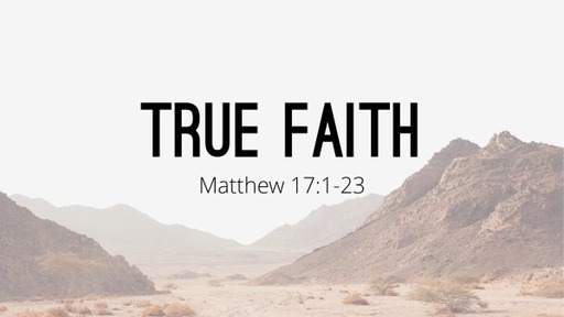 Matthew 17-22