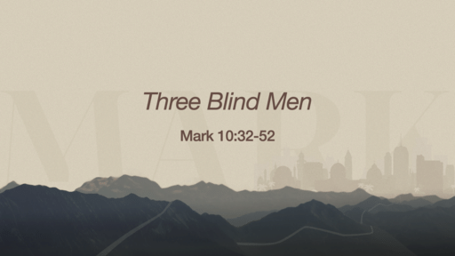 17. The Blind Men