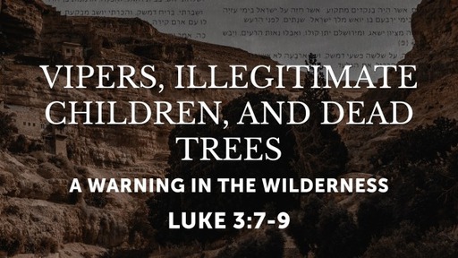 Vipers, Illegitamate Children, and Dead Trees