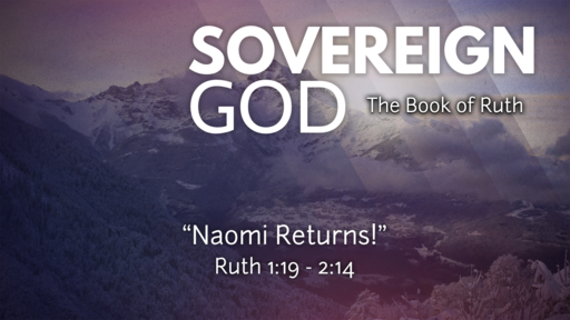 Naomi Returns (Ruth 1:19-2:14)