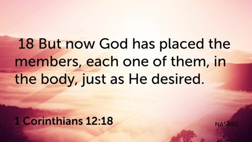 Sunday, October 23 - Strait Life