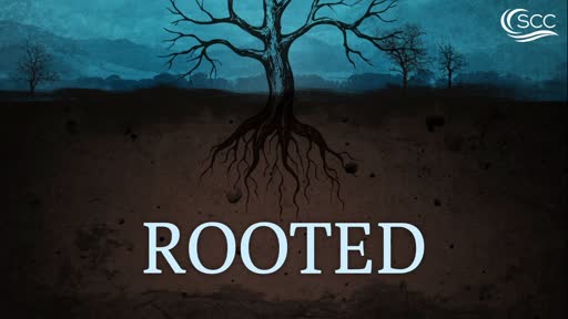 Rooted part 1