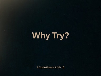 Why Try - Tom McDonnell