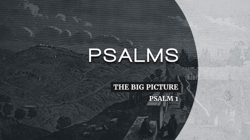 Psalms: The Big Picture
