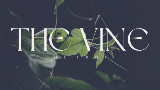 The Vine - The Fruit