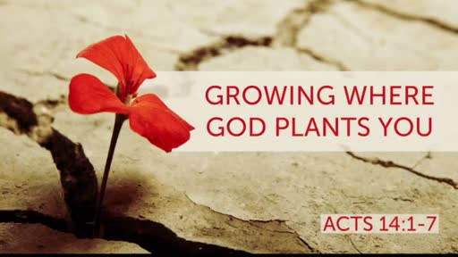 2-19-2023 Growing Where God Plants You (FULL SERVICE)