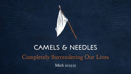 Camels & Needles
