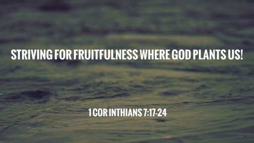Striving for fruitfulness where God plants us!