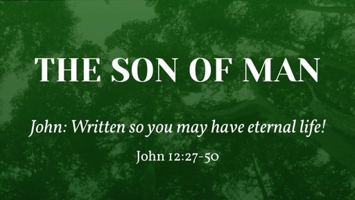 John: The Son of Man