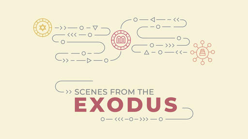 Scenes From The Exodus