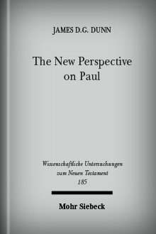 paul perspective essays collected bible