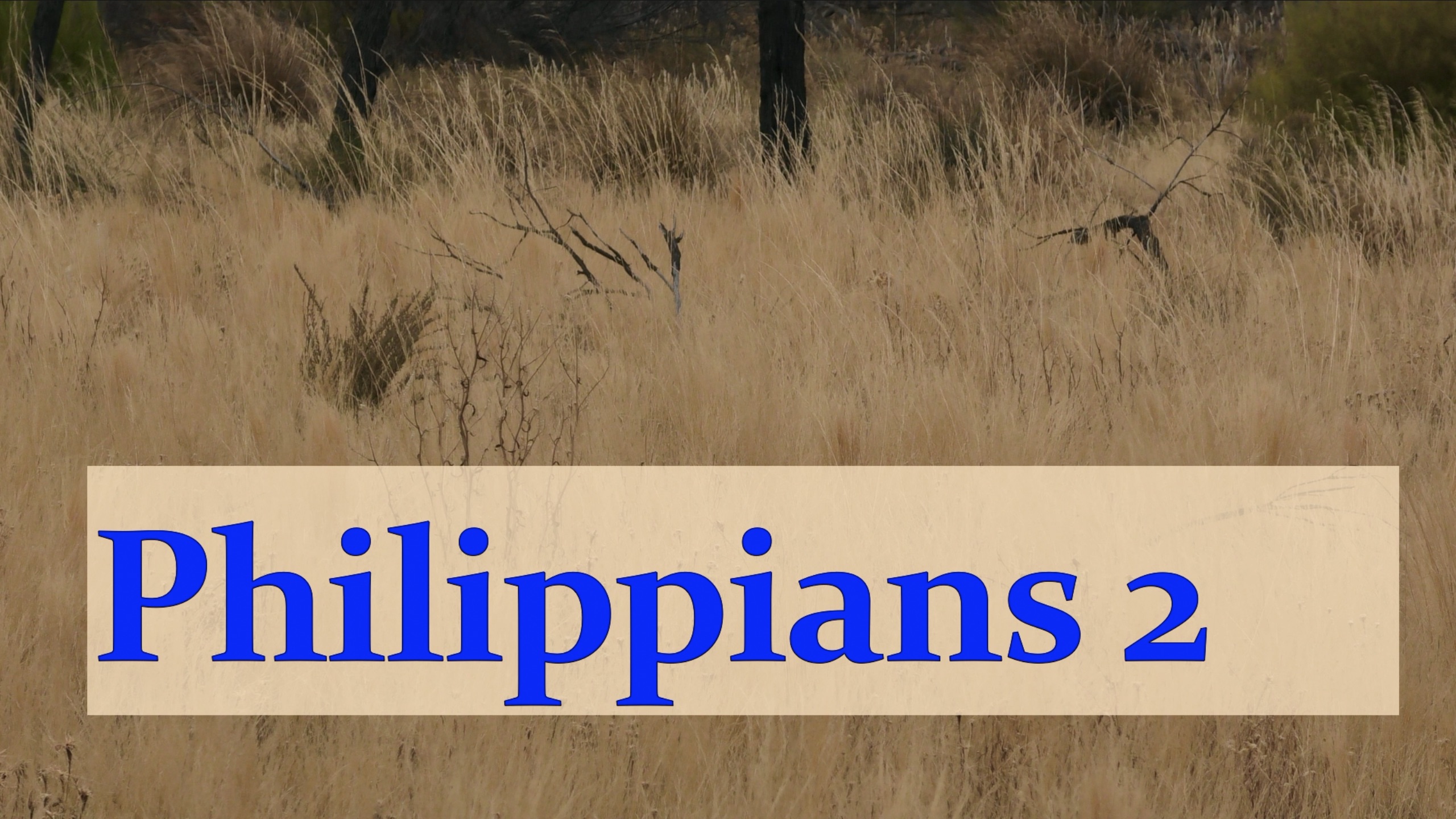 Philippians 2 the mindset of christ logos sermons