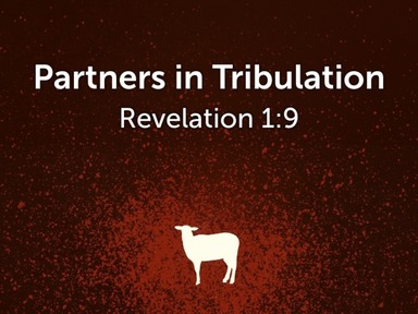 Partners In Tribulation