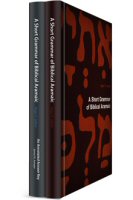 A Short Grammar of Biblical Aramaic (2 vols.)
