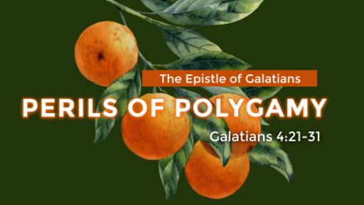 Perils of Polygamy