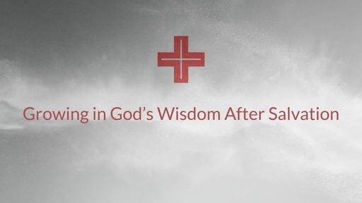 Growing in God's Wisdom After Salvation