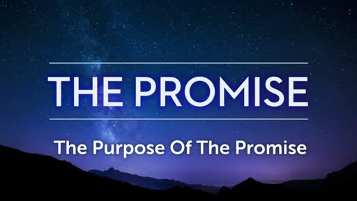 The Promise "The Purpose Of The Promise"