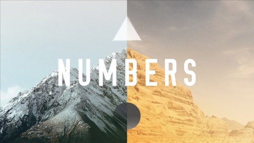 The Bible Series Numbers
