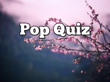 Pop Quiz why are Questions Important 