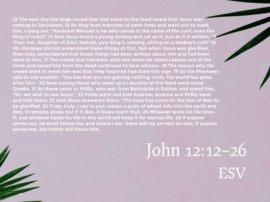 Believing is Seeing - John 12:12-26