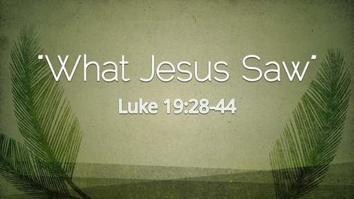 "What Jesus Saw"