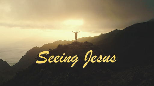 Seeing Jesus #5 - Palm Sunday