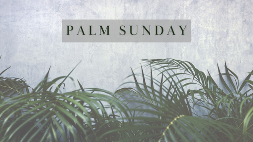 4.2.23 Palm Sunday