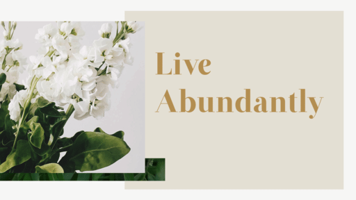 Live Abundantly